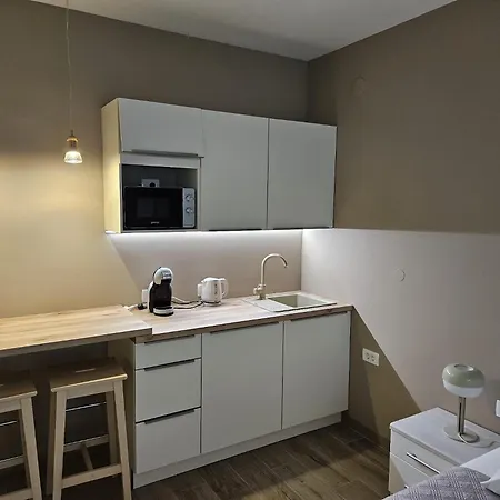 Guest house & Ladisic 4*